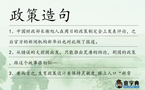 政策造句