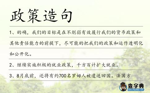 政策造句