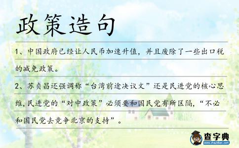 政策造句