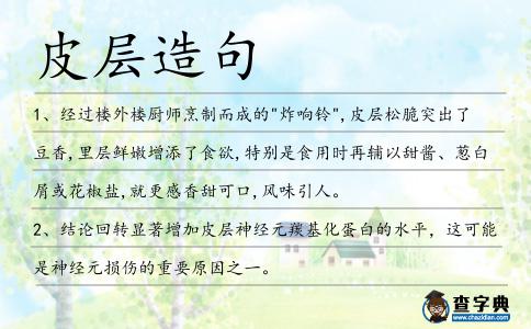 皮層造句