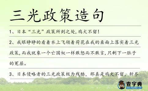 三光政策造句