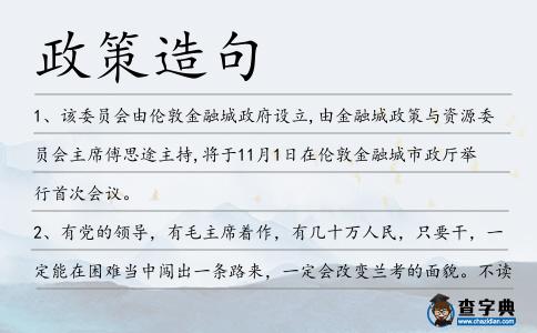 政策造句