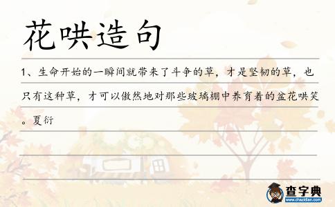 花哄造句