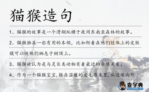 貓猴造句