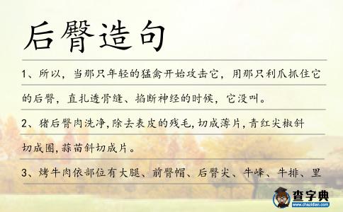 后臀造句