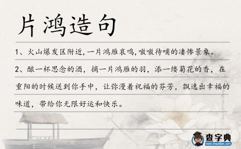 片鴻造句
