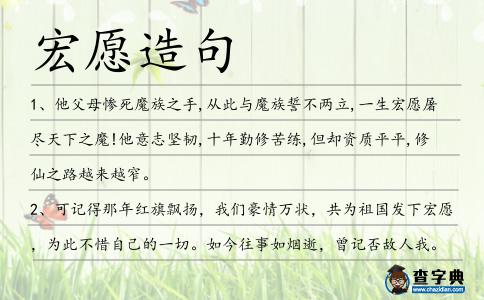 宏愿造句