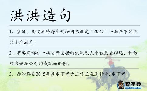 洪洪造句