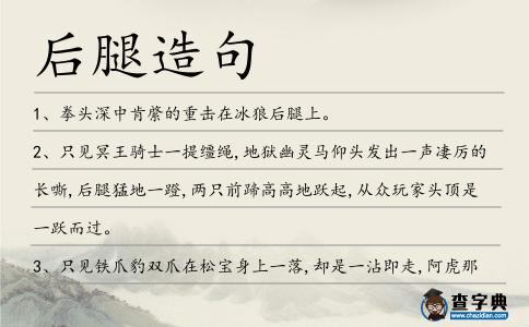 后腿造句