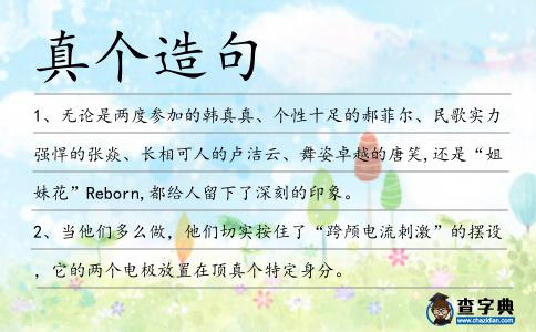 真?zhèn)€造句