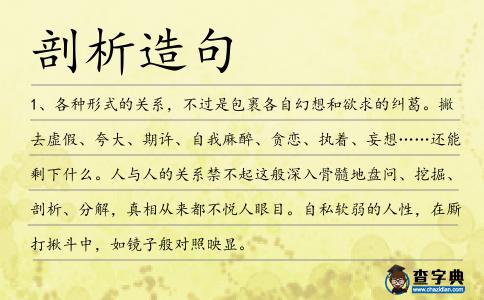 剖析造句