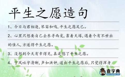 平生之愿造句
