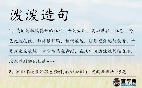 潑潑造句
