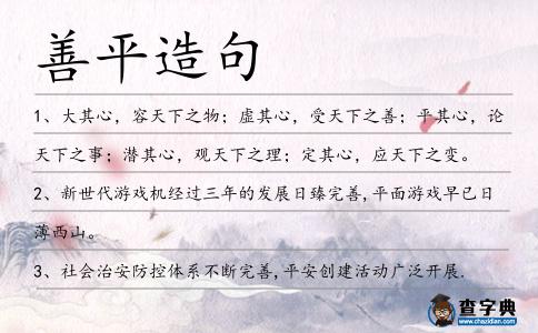善平造句