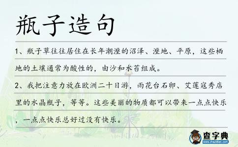 瓶子造句