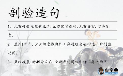 剖驗造句