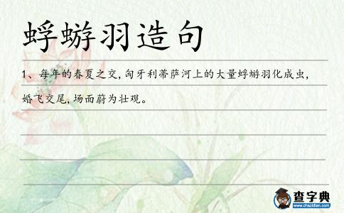 蜉蝣羽造句