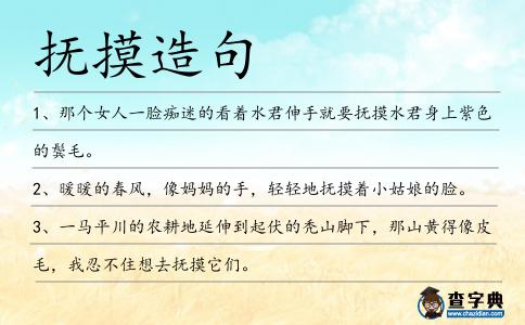 撫摸造句