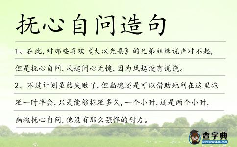 撫心自問造句