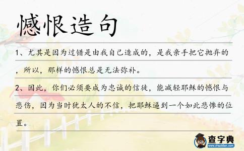 憾恨造句