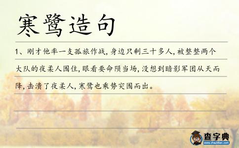 寒鷺造句
