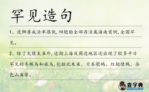罕見造句