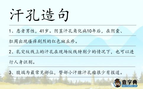 汗孔造句