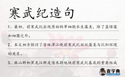 寒武紀造句