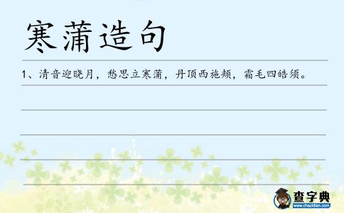 寒蒲造句