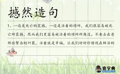 撼然造句