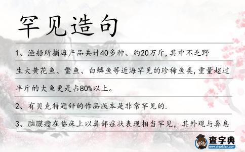 罕見造句