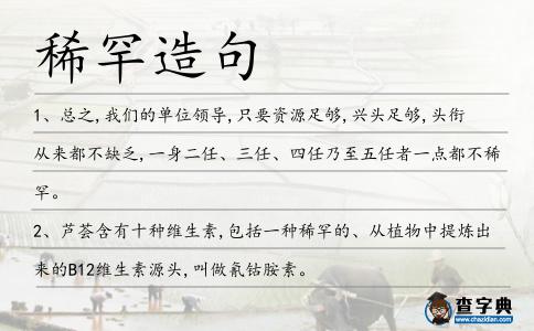 稀罕造句