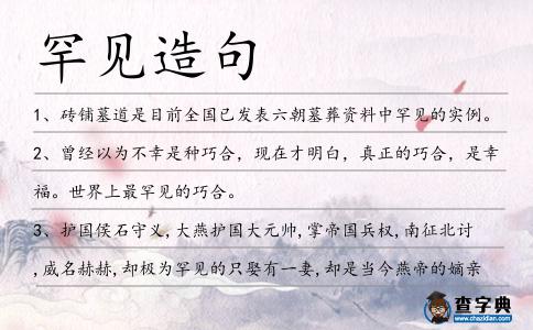 罕見造句