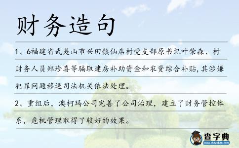 財務造句