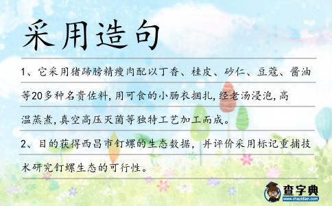 采用造句