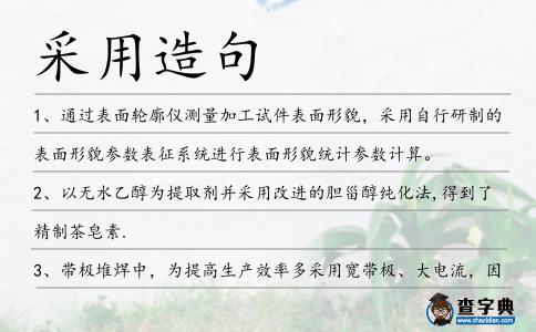 采用造句