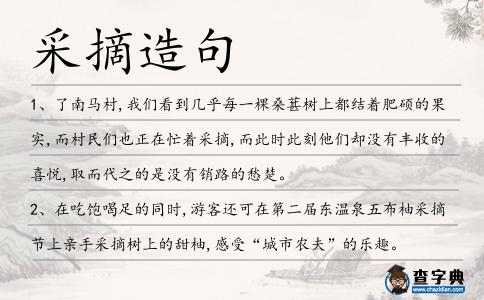 采摘造句
