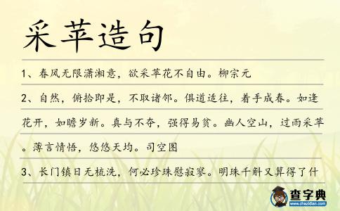 采蘋造句