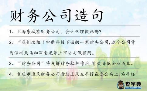 財務公司造句