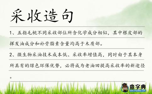 采收造句