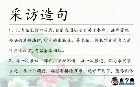 采訪造句