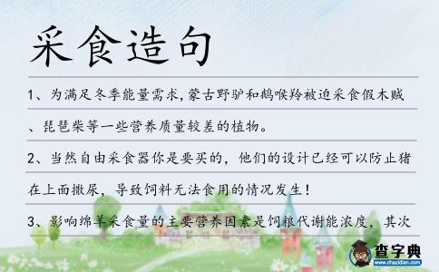采食造句