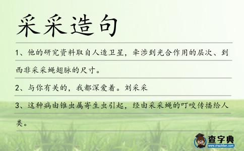 采采造句