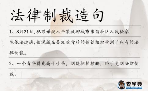 法律制裁造句