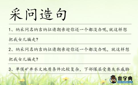 采問造句
