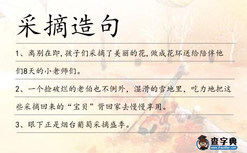 采摘造句