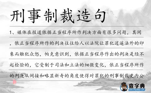 刑事制裁造句