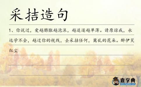 采拮造句