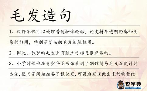 毛發造句