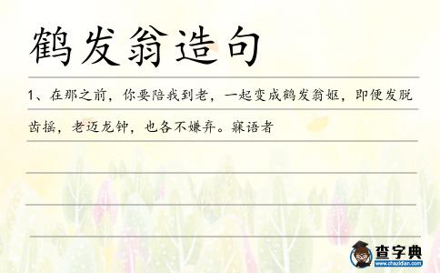 鶴發(fā)翁造句